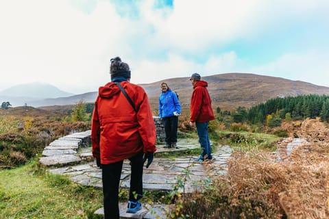 From Inverness: Glen Affric, Culloden and Clava Cairns Tour