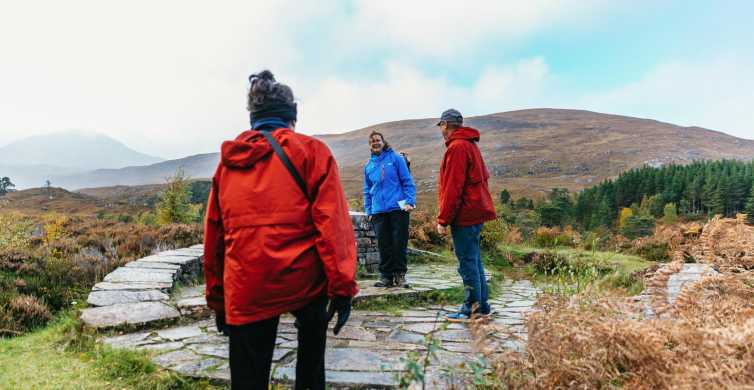 Taking a Walk: Glen Affric - The Oldie