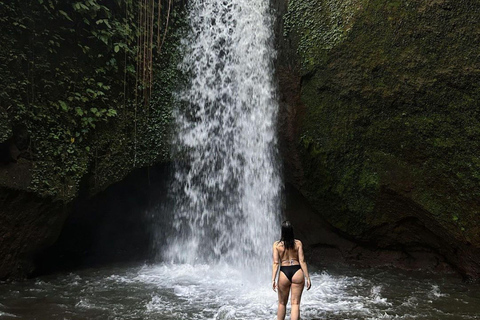Ubud: Discover Hidden Waterfalls with Swing & Rice Terrace Private Tour with Entry Tickets