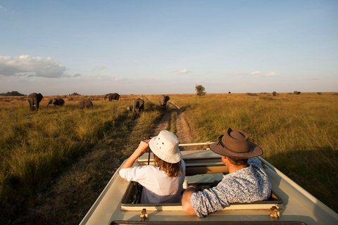 Serengeti: Safari de 5 dias na travessia do rio Mara