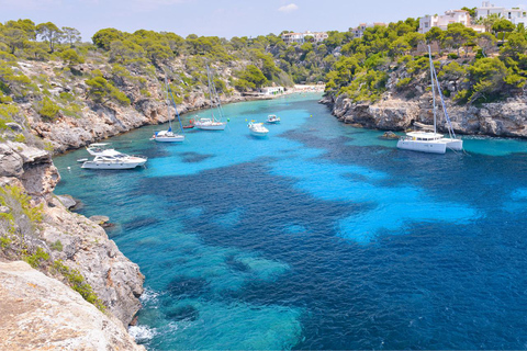 Excursión a Mallorca: Es Trenc, Cala Pi y Los DeltasMallorca: Excursión de un día a las mejores playas y calas