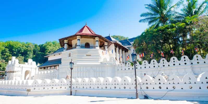 From Colombo : Day Trip to Kandy/ Pinnwala/ Royal Gardens