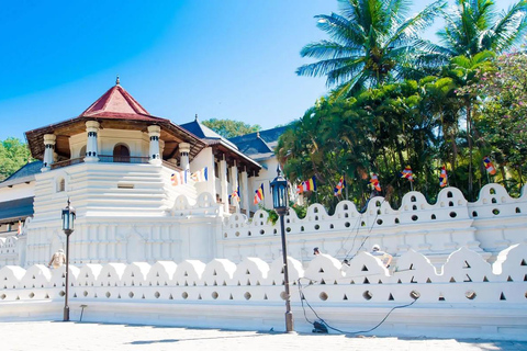 Desde Colombo - Excursión de un día a Kandy/ Pinnwala/ Jardines Reales