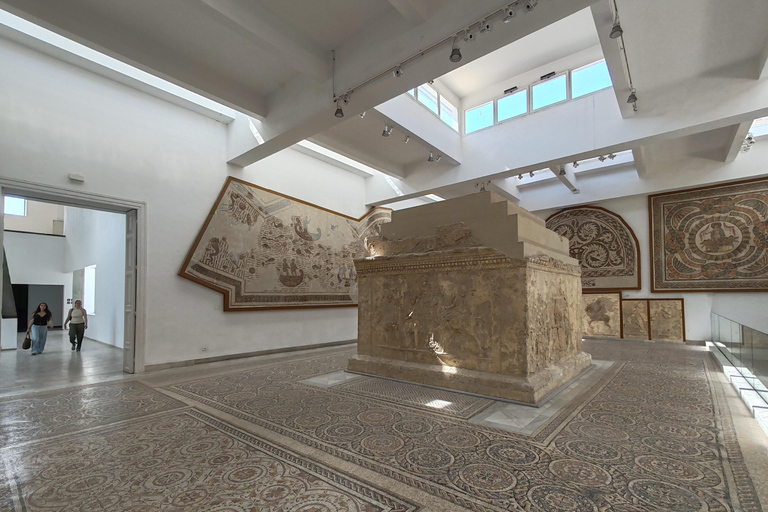 Tunis: Bardo Museum and Medina Guided Tour
