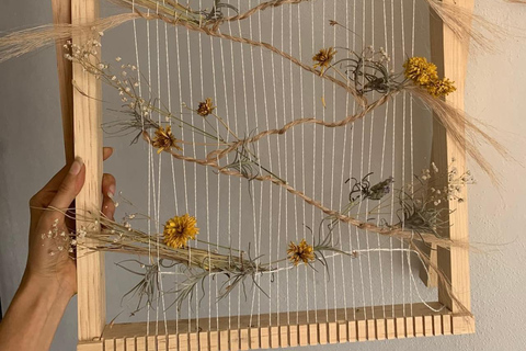 Learn the art of weaving with natural fibers in San José