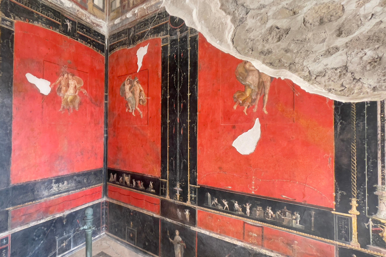 Desde Positano: Visita guiada a Pompeya sin hacer cola