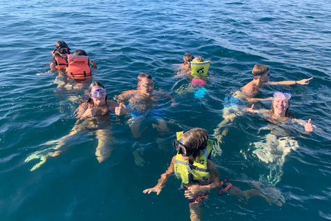 Puerto Escondido: Bootstour zu Delfinen und MeerestierenPrivate Tour