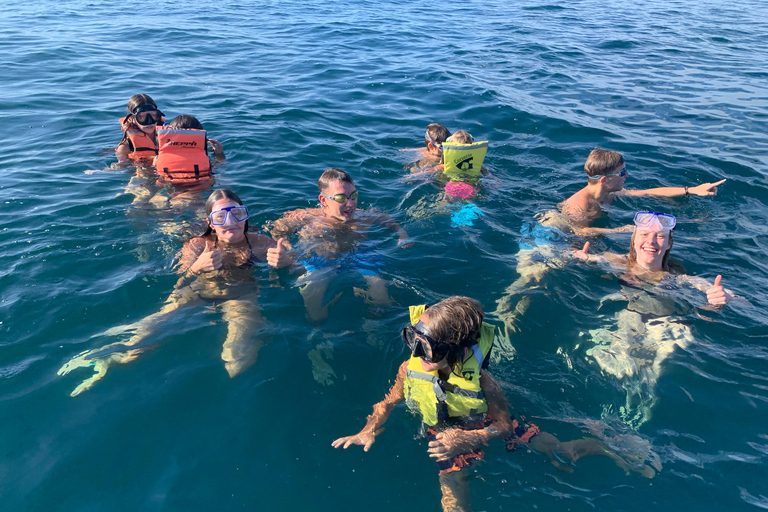 Puerto Escondido: Bootstour zu Delfinen und MeerestierenPrivate Tour