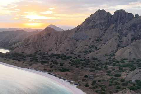 Bali: Komodo Island Day Trip with Flights and Snorkeling