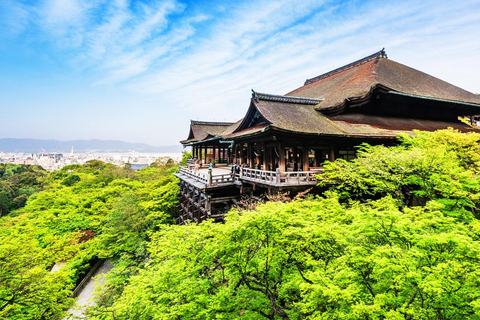 Kyoto/Osaka: Kyoto and Nara World Heritage Day Tour Trip from Kyoto Station 9:50AM