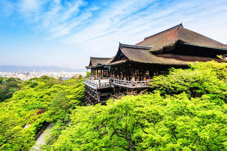 Kyoto/Osaka: Kyoto and Nara World Heritage Day Tour Trip from Kyoto Station 9:50AM