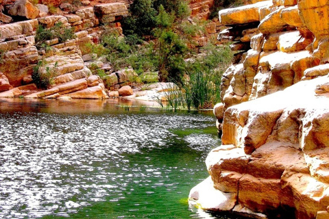 Agadir: Paradise Valley & Imouzzer Waterfall Day Tour