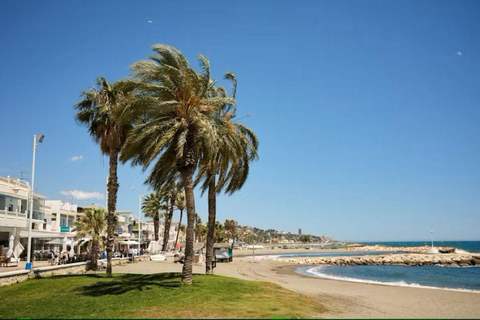 Tour guidato della zona di pesca di Malaga con laboratorio di cucinaTour guidato del quartiere dei pescatori di Malaga con laboratorio di cucina