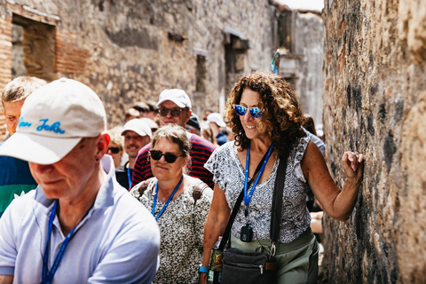 From Naples: Pompeii Shore Excursion for Cruisers with Guide From Pompeii: Guided Tour + Entry Ticket