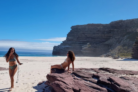 Luxury Cape of Good Hope & Penguin Tour