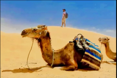 2-Day Sahara Desert Tour from Djerba with Certified Guide