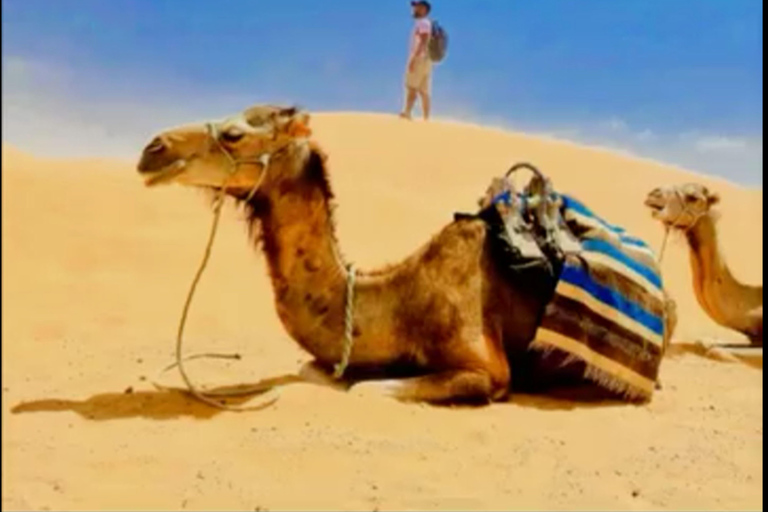 2-Day Sahara Desert Tour from Djerba with Certified Guide