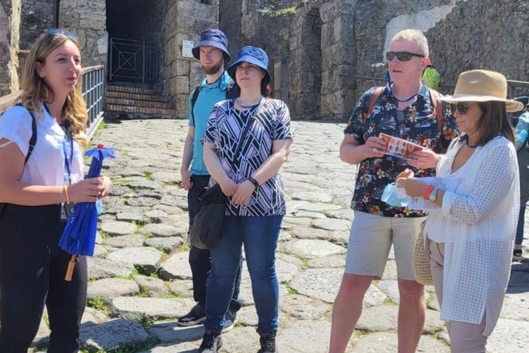 Pompeii Guided Tour: Daily Roman Life with an Archaeologist Small-Group Tour in Italian