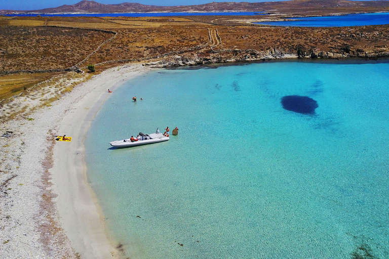 Mykonos : croisière à terre à Delos et Rhenia avec fruits et collationsMykonos : croisière vers Délos et Rhenia avec fruits et collations