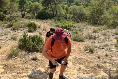 From Tholonet to the Bibémus quarries: Cézanne Hike