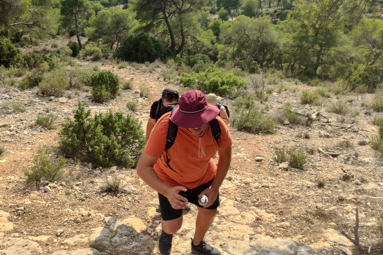 From Tholonet to the Bibémus quarries: Cézanne Hike