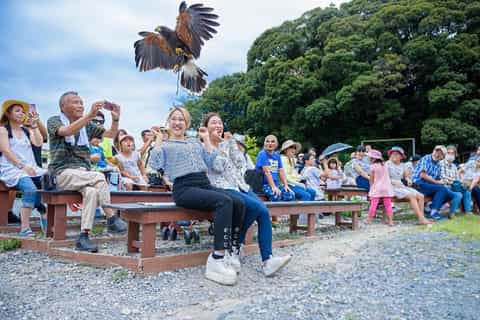 Kakegawa、掛川花鳥園 - チケットとツアーを予約 - 2026 （実際の体験
