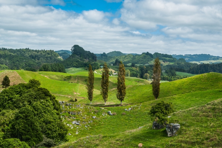 Ab Auckland: Kleingruppen-Hobbiton- und Waitomo-Tagestour