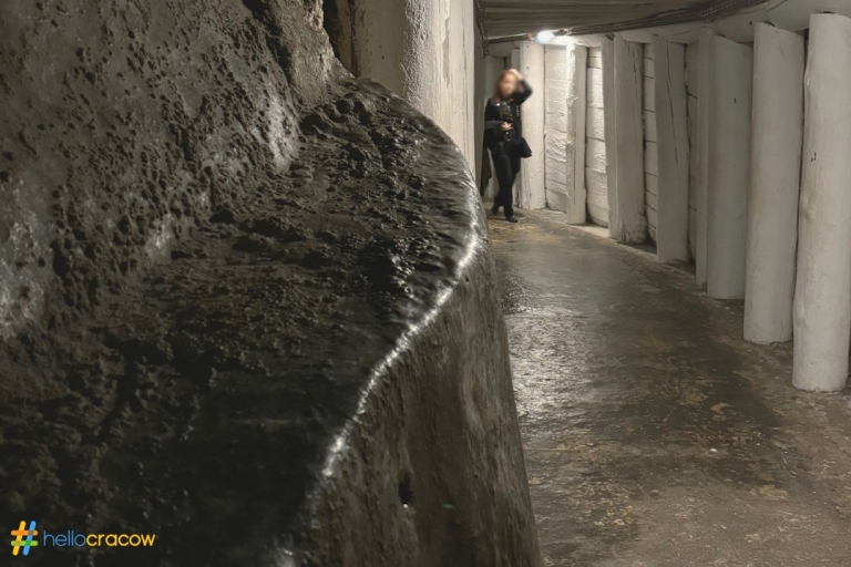 Vanuit Krakau: Rondleiding in de zoutmijn van WieliczkaTour vanaf trefpunt in Krakau