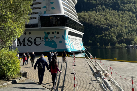 2-tägige private Tour mit Flåm-Bahn, Hardagerfjord und Kreuzfahrt