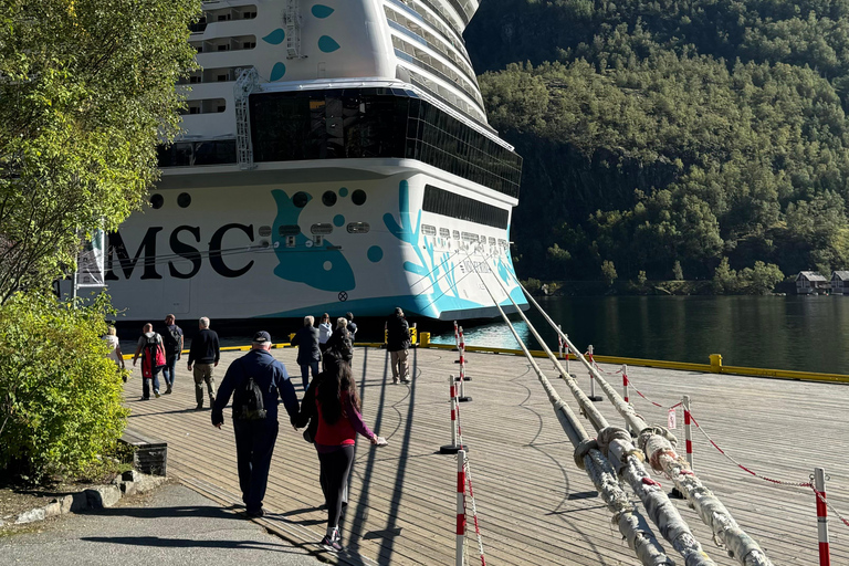 Tour particular de 2 dias com comboio de Flåm, Hardagerfjord e cruzeiro