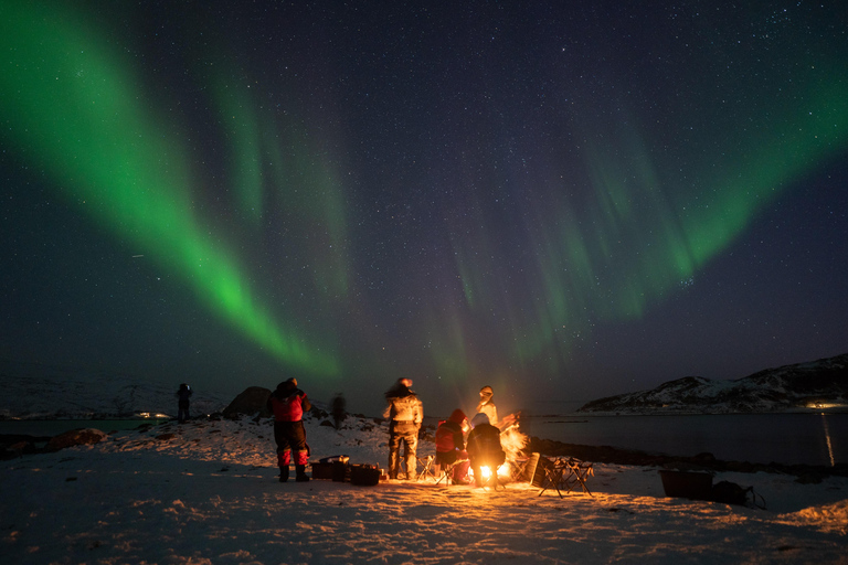 Tromsø: Adult Only Aurora hunt with Citizen Science