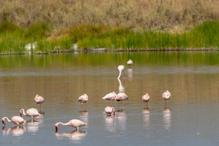 Zanzibar: tour di 2 giorni e 1 notte al Parco Nazionale di Mikumi in barca