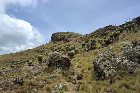 Aberdare Highlands: North to West Trekking Experience