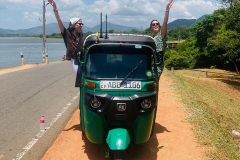 Kandy: Pidurangala Rock, Ritigala & Kaudulla Safari Tour