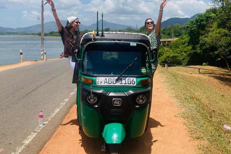 Kandy: Pidurangala Rock, Ritigala & Kaudulla Safari Tour