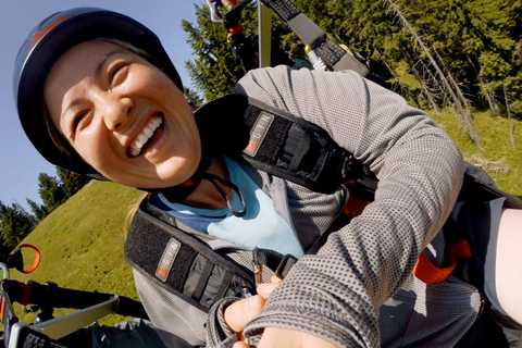 Golte Mozirje e Logarska, Slovenia: volo in parapendio biposto