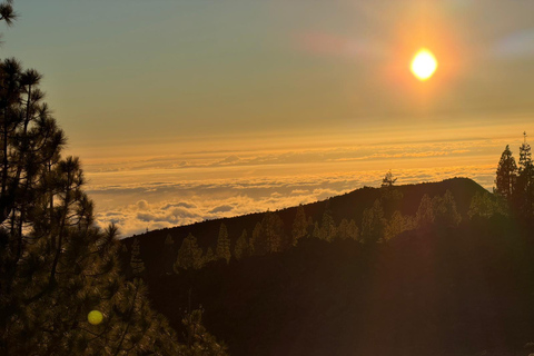 Tenerife: Teide Sunset and Stargazing, 20-Inch Telescope Teide by Night: 20-Inch Telescope, Hungarian & English