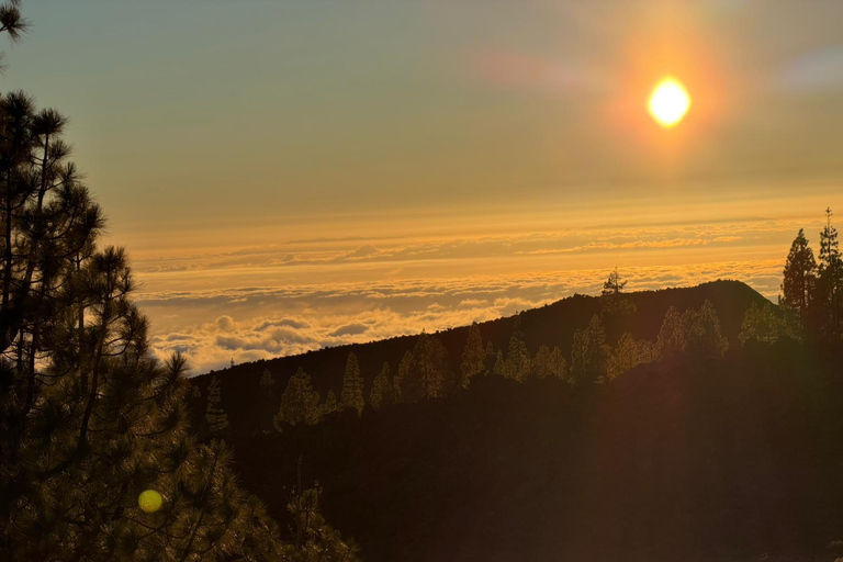 Tenerife: Teide Sunset and Stargazing, 20-Inch Telescope Teide by Night: 20-Inch Telescope, Hungarian & English