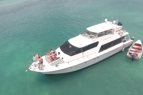Punta Cana: Saona Island Private Catamaran Tour & Lunch