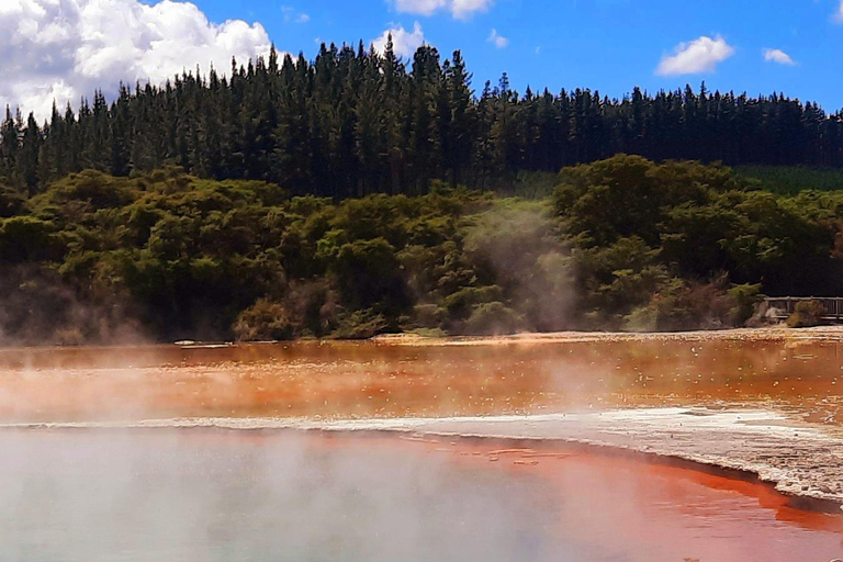 Nueva Zelanda: Ruta guiada de 26 días por la Isla Norte con acampada