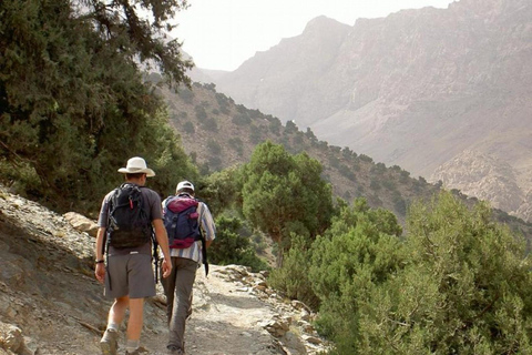 Frome Marrakech : Randonnée d'une journée au sommet du Tedli dans les montagnes de l'Atlas