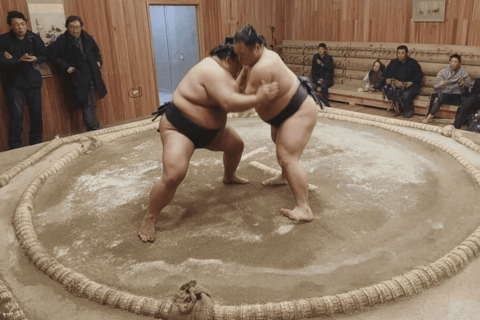 Tokio: show zapaśnicze sumoTokio: pokaz zapasów sumo