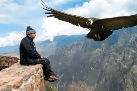 Desde Arequipa: Excursión al Cañón del Colca con final en Puno