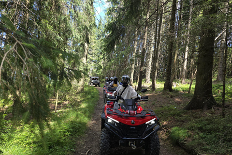 Zakopane: Snowmobile, Quad, or Buggy Tatra Mountains Tour