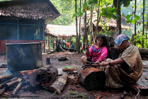 Ayahuasca - Renewal, Learning and Healing