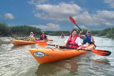 Hilton Head: Guided Kayak Nature Tour with Wildlife Spotting Adult Single Kayaks