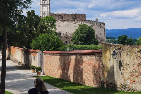 2 Castles and Melk Abbey: Private Guided tour from Vienna