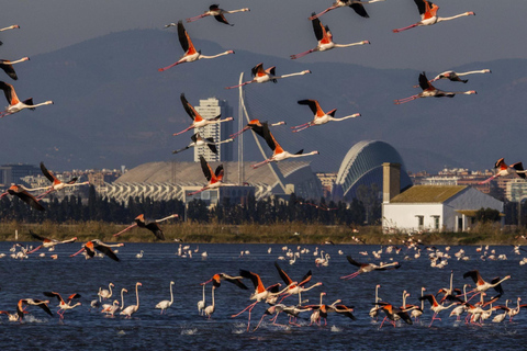 Valencia: Paseo en barco por la Albufera, paella y tour al atardecer incluidos