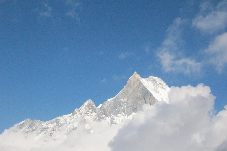 Från Kathmandu: 14 dagars Poon Hill &amp; Annapurna Base Camp Trek