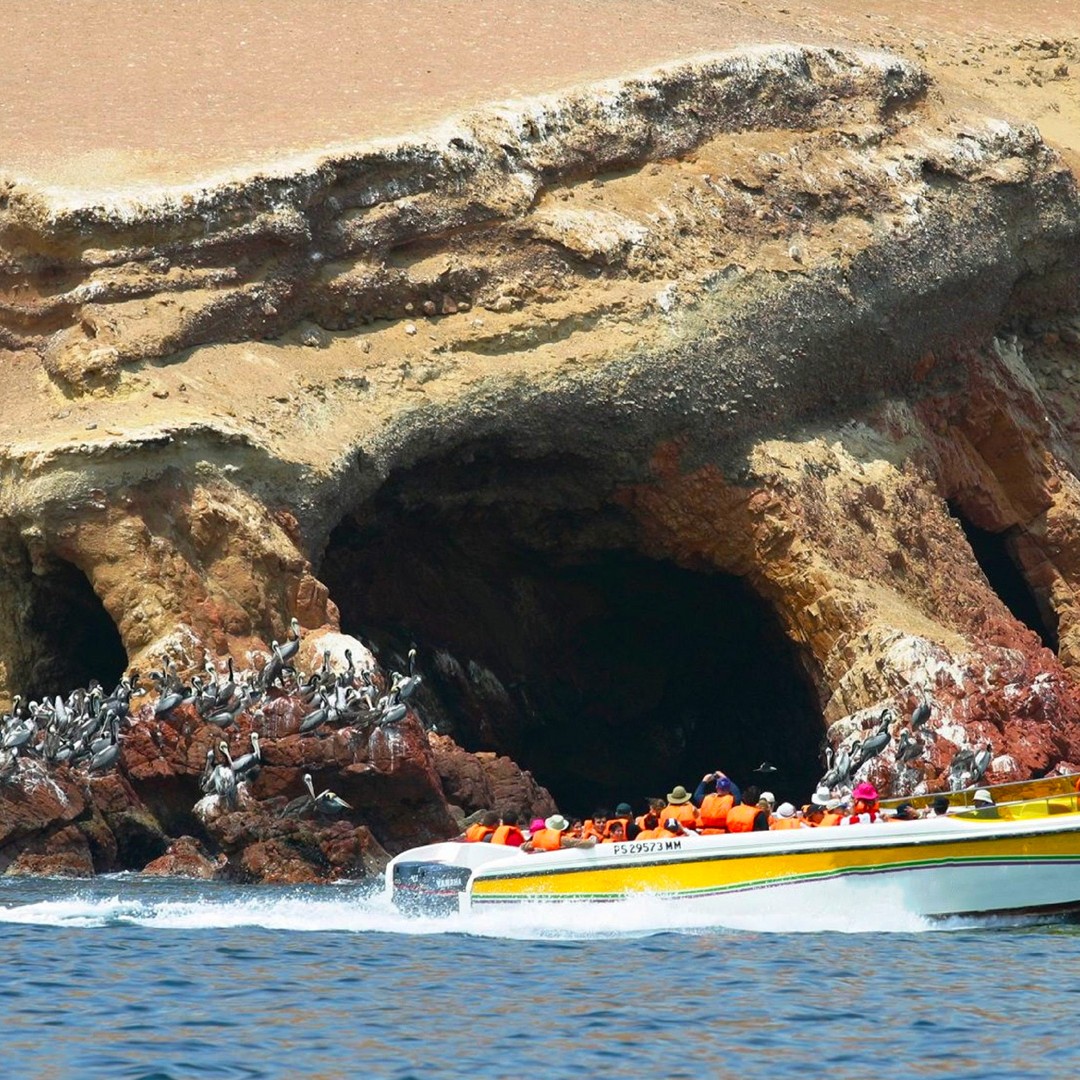 Galería de fotos para redes